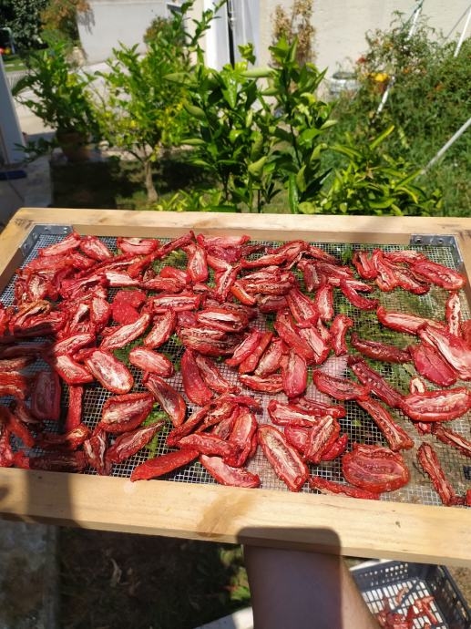 Domaći suhi pomidor (rajčica) u maslinovom ulju 370 ml