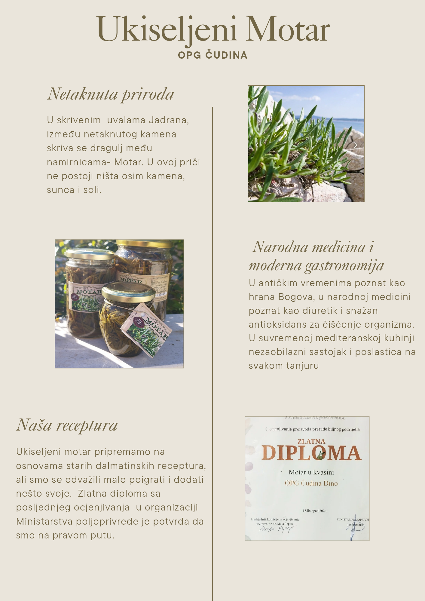 Ukiseljeni Motar (Petrovac) 370 ml
