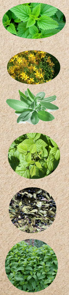 BILJNI ČAJ NATURAL HARMONY 25g