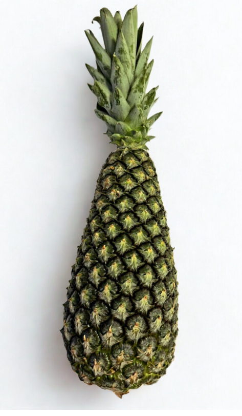 Ananas divlji